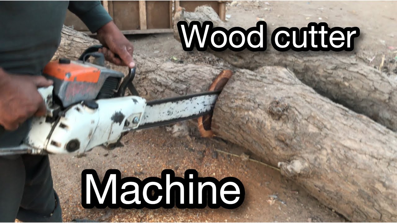 Dangerous leaning tree cutting | Stihl ms 881 | - YouTube