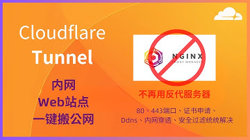 完美！一键把内网Web服务搬到公网的方案cloudflare tunnel免费服务设置方法教程|摆脱反代服务器Nginx Proxy Manage|docker绝配|一键建站|web安全|内网映射|
