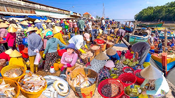 Đáy Hàng Khơi Trúng Mẻ Cá Đù Lớn | Chợ Cửa Biển Vàm Láng Gò Công Đông