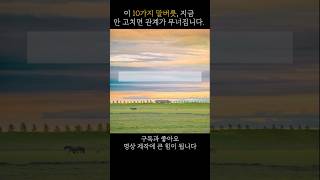 무조건 고쳐야할 언어습관 10가지#지쳤을때 #마음회복 #무기력극복 #심리건강  #감성쇼츠 #감정정리 #일상위로 #자기돌봄  #짧은위로 #유튜브쇼츠 #오늘도수고했어요