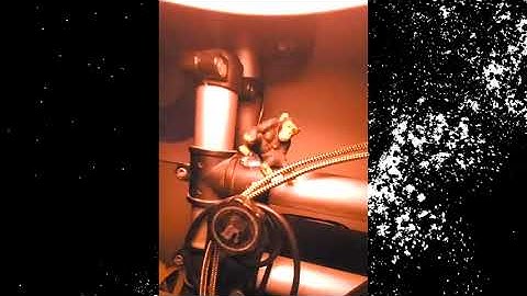 WET HEAVEN - FOUR (2071)