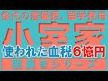 【闇暴きシリーズ #22】佳代の警備費、圭の留学費用等「小室家」に使われた血税は、総額６憶円