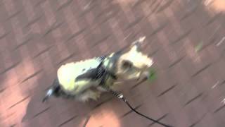 gonta0830 20120512 01