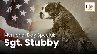 Memorial Day Special:  Sgt. Stubby, American War Hero | JT Doyle & Ann Bausum