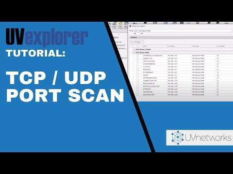 TCP / UDP