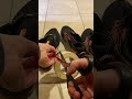 Middle of video