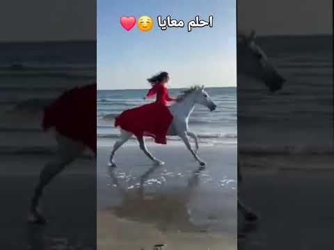 لو مش هتحلم معايا على الحجار اغاني علي الحجار اكسبلور 