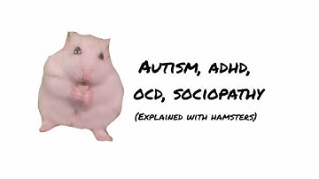 ADHD, Autism, OCD & Sociopathy – Explained with Hamsters