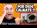 El Secreto para calmar a los Perros MUY Nerviosos.