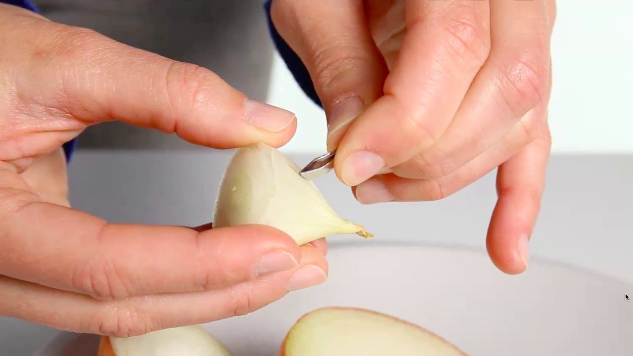 osservazione di cellule al microscopio