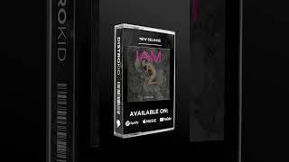 260110-IAM