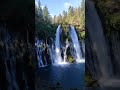 Один из красивейших водопадов Калифорнии #burneyfalls #водопад