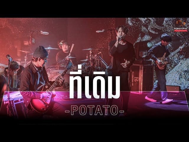 ที่เดิม - POTATO | Songtopia Livehouse class=