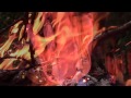 Jam City - Unhappy (Official Video)