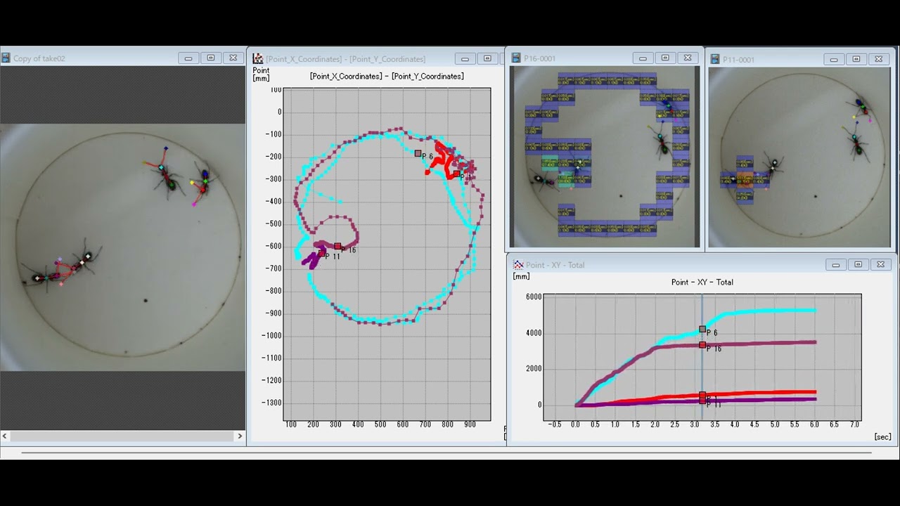 【ディテクトの運動解析】ありの行動解析