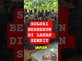 solusi berkebun di lahan sempit #gardening #shortsvideo #gardeningtips