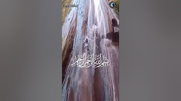 ﴿أَفَرَأَيتُمُ الماءَ الَّذي تَشرَبونَ﴾ تلاوة رائعة من سورة الواقعة للشيخ عبد الولي الاركاني