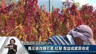 種紅藜管理輕鬆 太麻里香蘭村農民新寵【客家新聞20170629】