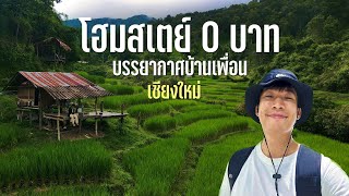 Solo Traveling in Chiang Mai | 2nd class train | Rent a bike | 0 baht homestay in the rice field
