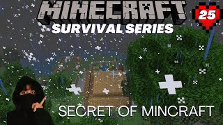 Minecraft Survival Series Episode 25 #survivalseries #minecraft