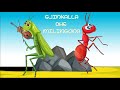 Gjinkalla dhe milingona  perralla shqip  ant and grasshopper kanalidiell