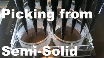 Pickolo for Stem-Cells or Hybridoma Clone Picking on Tecan