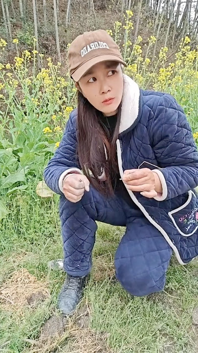 Mastran burung lucu viral kocak ngakak meme funny memes moments