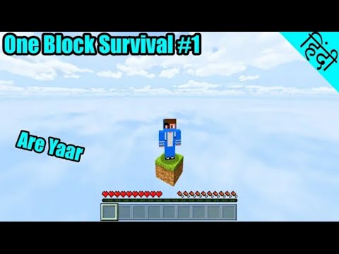 Minecraft one block survival server Enjoy part 1 # - YouTube