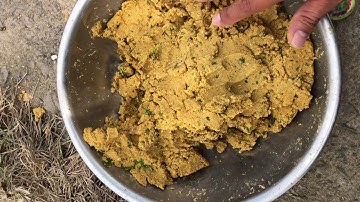 Câu Cá Mè Vinh Tại Cống 10 Cửa Trà Vinh