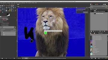Foreground extraction tool in development GIMP Version 2.9.7.