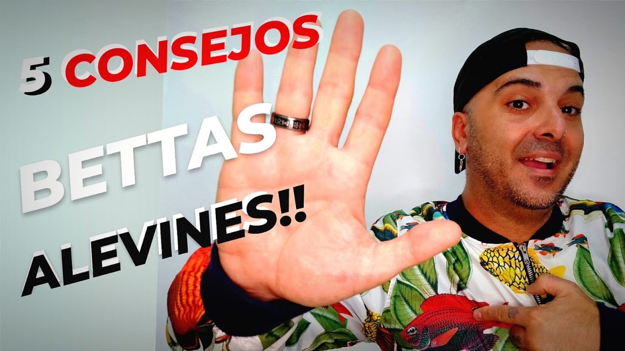 5 TRUCOS para que no se MUERAN tus ALEVINES de BETTA.