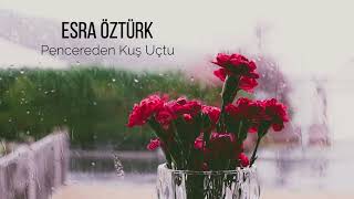 Esra Öztürk - Pencereden Kuş Uçtu Resimi