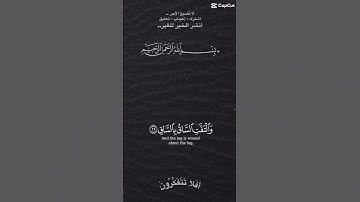كلا إذا بلغت التراقي#قرآن #quran #اكسبلور #holyquran #راحة_نفسية #islamictext #سورة_القيامة #دعاء