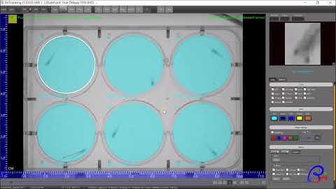ZGENEBIO RvTracking Circle ROIs Behavioral tracking