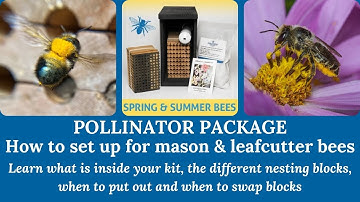 Pollinator Package - How to set up your mason and leafcutter bees for spring and summer pollination