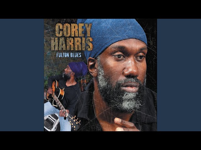 Corey Harris - That Will Never Happen No More
