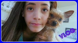 Cookies & Muffins Oh My! | Christmas 2016 Countdown | Vlog | In Mad's World