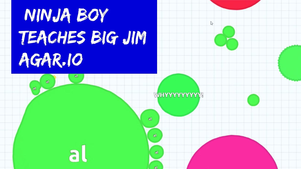 BLD Blob Wars 1 Ninja Boy schools Big Jim in Agario (agar.io) YouTube