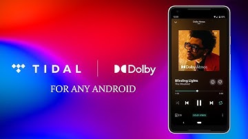 DOLBY ATMOS FOR ANDROID 10 MAGISK MODULE