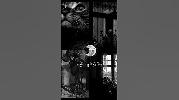أجمل تلاوة خاشعة للقلب..الشيخ عبد الرحمن مسعد ❤🍃