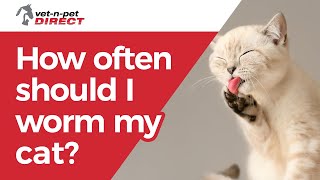 How often should I worm my cat?