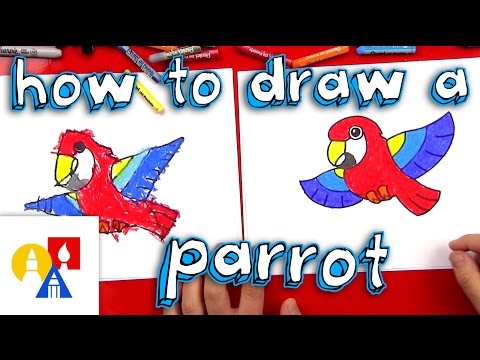 How To Draw A Cartoon Parrot