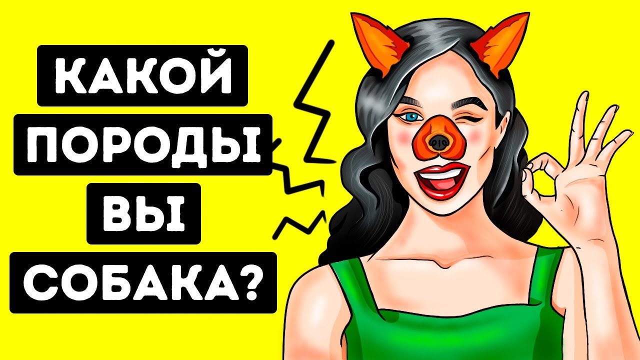 какая основная порода собаки