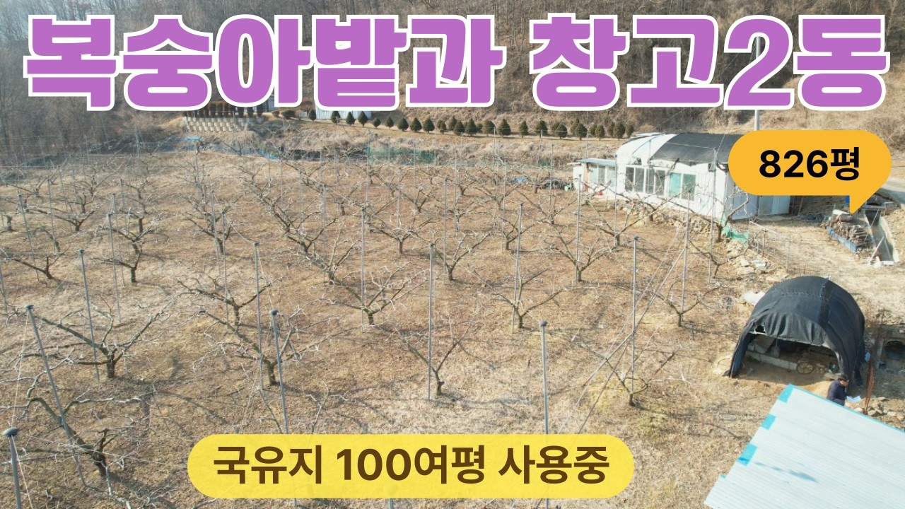 ★매물번호10687★충북 보은/7500만/복숭아밭과 창고2동/농막으로 개조가능/826평/국유지100여평 사용중