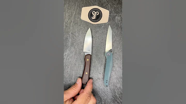 Today’s Pockets #knifecommunity #edc #edccommunity #youtubeshorts #shorts