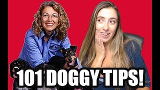 101 Life Hacks for Dog Owners! Pet Care Tips + Tricks | Dr. Judy Morgan DVM 101 Life Hacks for Dog Owners! Pet Care Tips + Tricks | Dr. Judy Morgan DVM