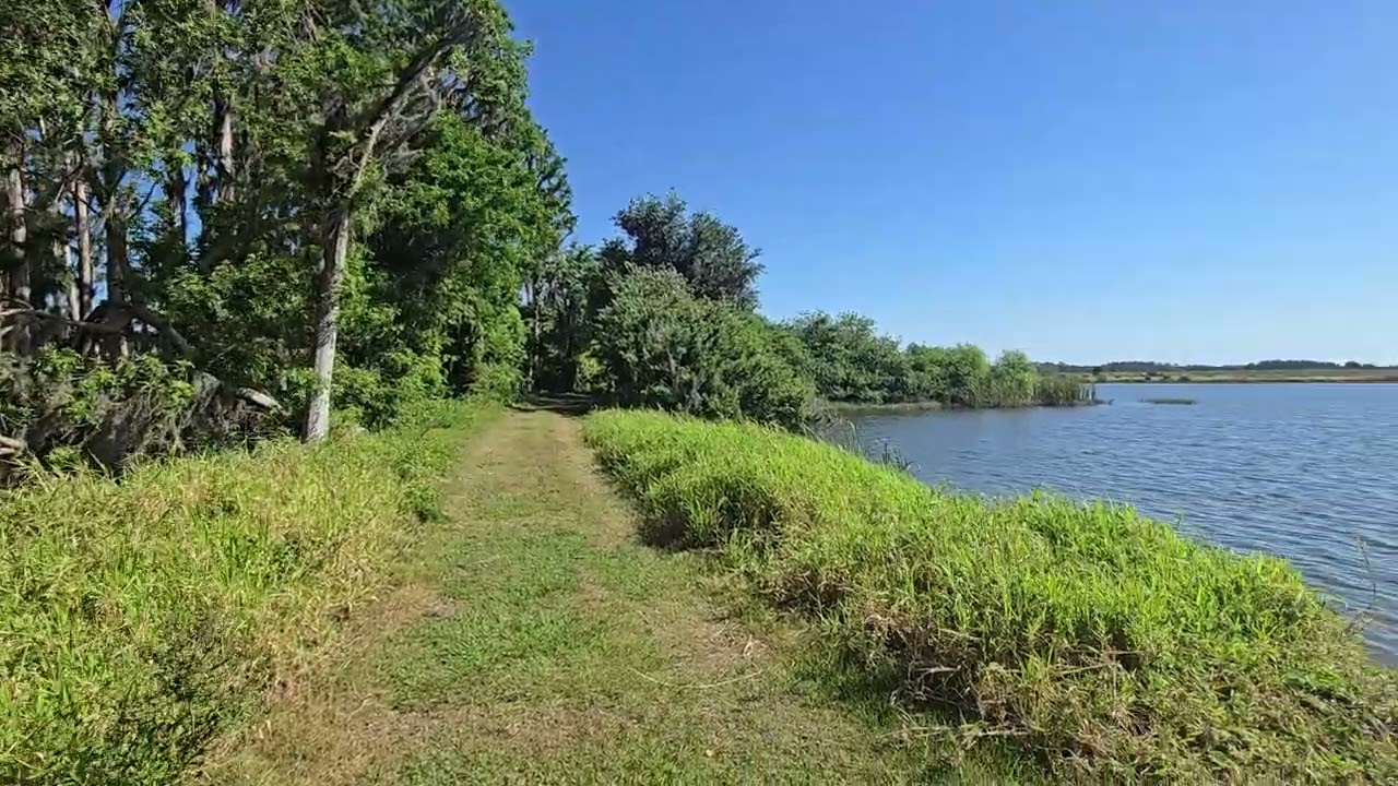 Panther Point Trail in 30 Seconds | Marshall Hampton Reserve, Florida  🌾🐦
