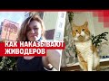 Как наказывают за убийство животных в России| 29.RU