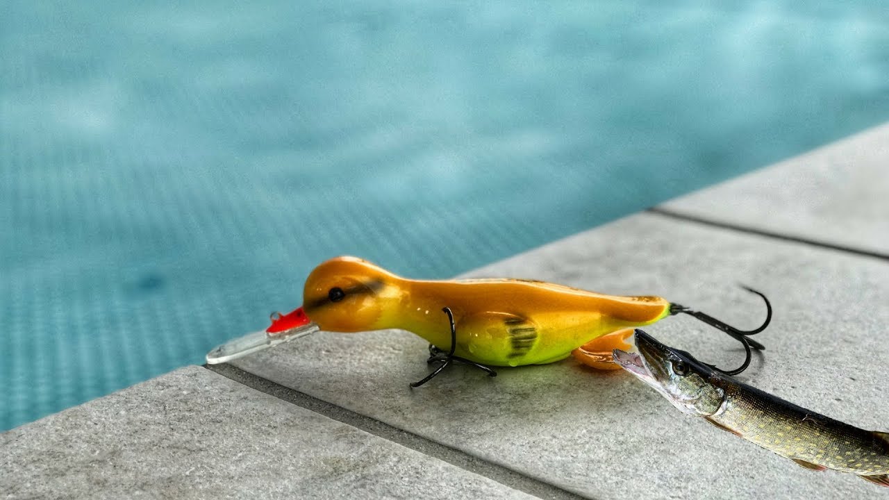 Bedste gedde wobler// Best pike lures YouTube