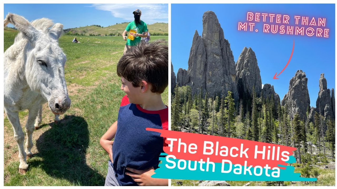 OUR FAVORITE STATE PARK! Exploring Epic Views in South Dakota’s Black Hills